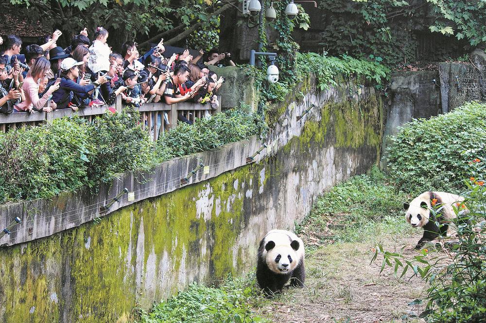一位在这个, 村乐享场景