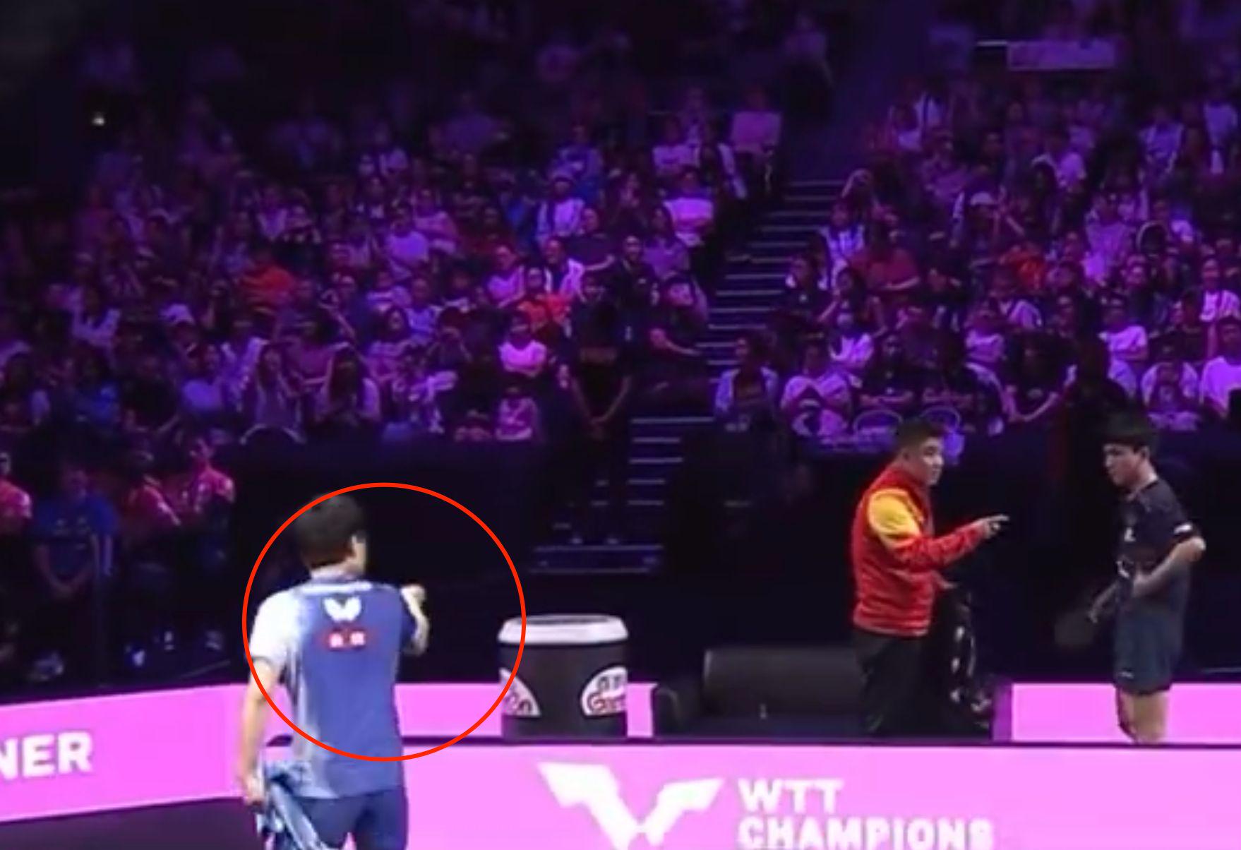 决赛, 张本智和进, 常激动 决赛, 张本智和进, 常激动